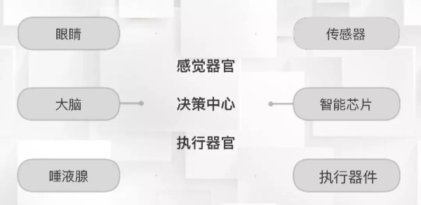 一節(jié)小學(xué)生也能聽(tīng)懂的專(zhuān)業(yè)課：機(jī)器人和物聯(lián)網(wǎng)是怎么協(xié)同工作的？